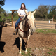 Image for article titled Horse: The Jalopnik Review